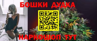 прущие грибы Будённовск