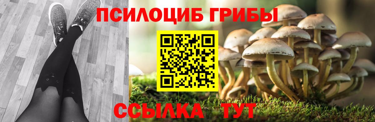 Галлюциногенные грибы Psilocybine cubensis  Галлюциногенные грибы прущие грибы  Шумерля  Вход с VPN 